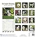 Old English Sheepdog Calendar - Dog Breed Calendars - 2017 - 2018 wall Calendars - 16 Month by Avonside