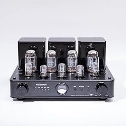 Willsenton R8 KT88/EL34 x4 Tube Amplifier