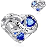 PHRUKAR Birthstone Charm for Charm Bracelet, 925 Sterling Silver Infinity Love Heart Charm for Bracelet and Necklace, Birthday Mother's day Christmas Jewelry Gifts for Women