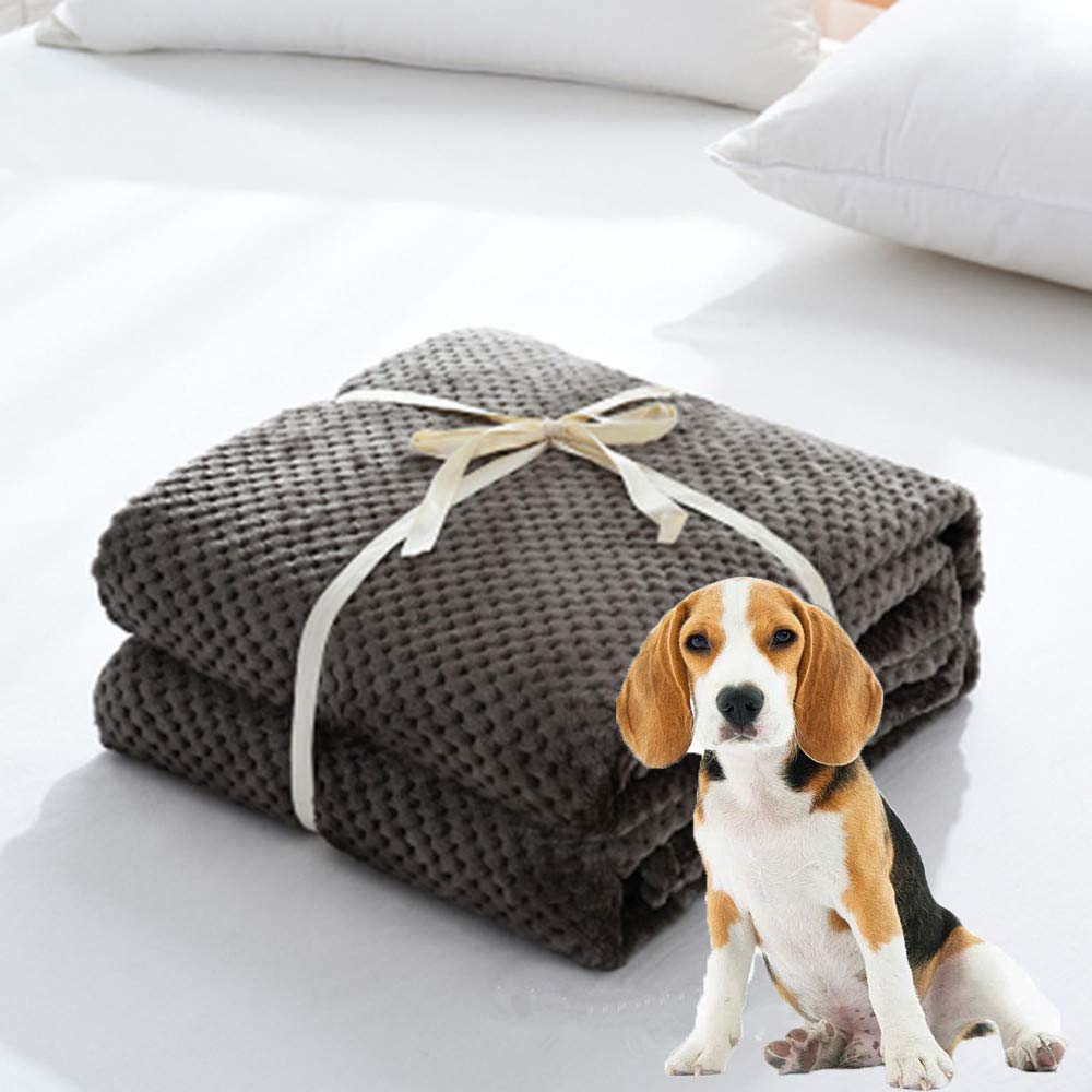 ITODA Fluffy Flannel Dog Blanket 70x100cm Soft Breathable Pet Blanket Warm Beds Cover Doghouse Pad Durable Pet Throw for Dog Puppy Cats Kittens(70x100cm)