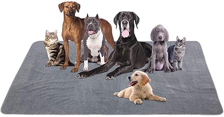 extra large pee pads