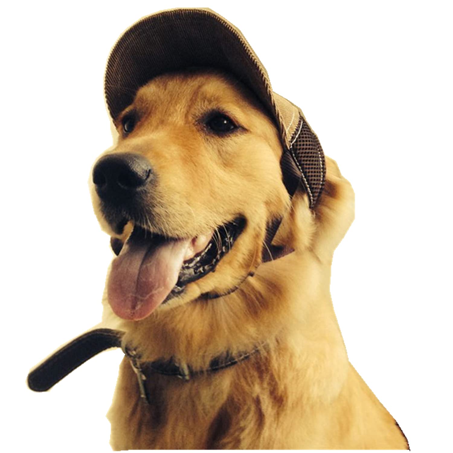 RUIXIA Summer Breathable Dog Baseball Hat Sun Protection Peaked Cap with Ear Holes Mesh Dog Hat for Outdoor Walking Travelling Hiking Adjustable Coffee