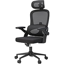 Amazon.com: SIHOO Ergonomic Office Chair, Office Chair with