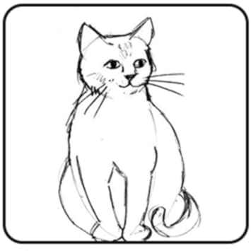 Amazon Com Draw Birds Animals New Appstore For Android