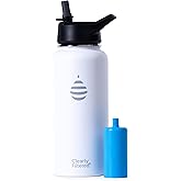 Clearly Filtered 32oz Water Bottle/Targets 220+ Contaminants/Double-Wall Insulated Stainless Steel Filtered Water Bottle BPA/BPS-Free Phthalate-Free Filters Fluoride Lead Chlorine (White)