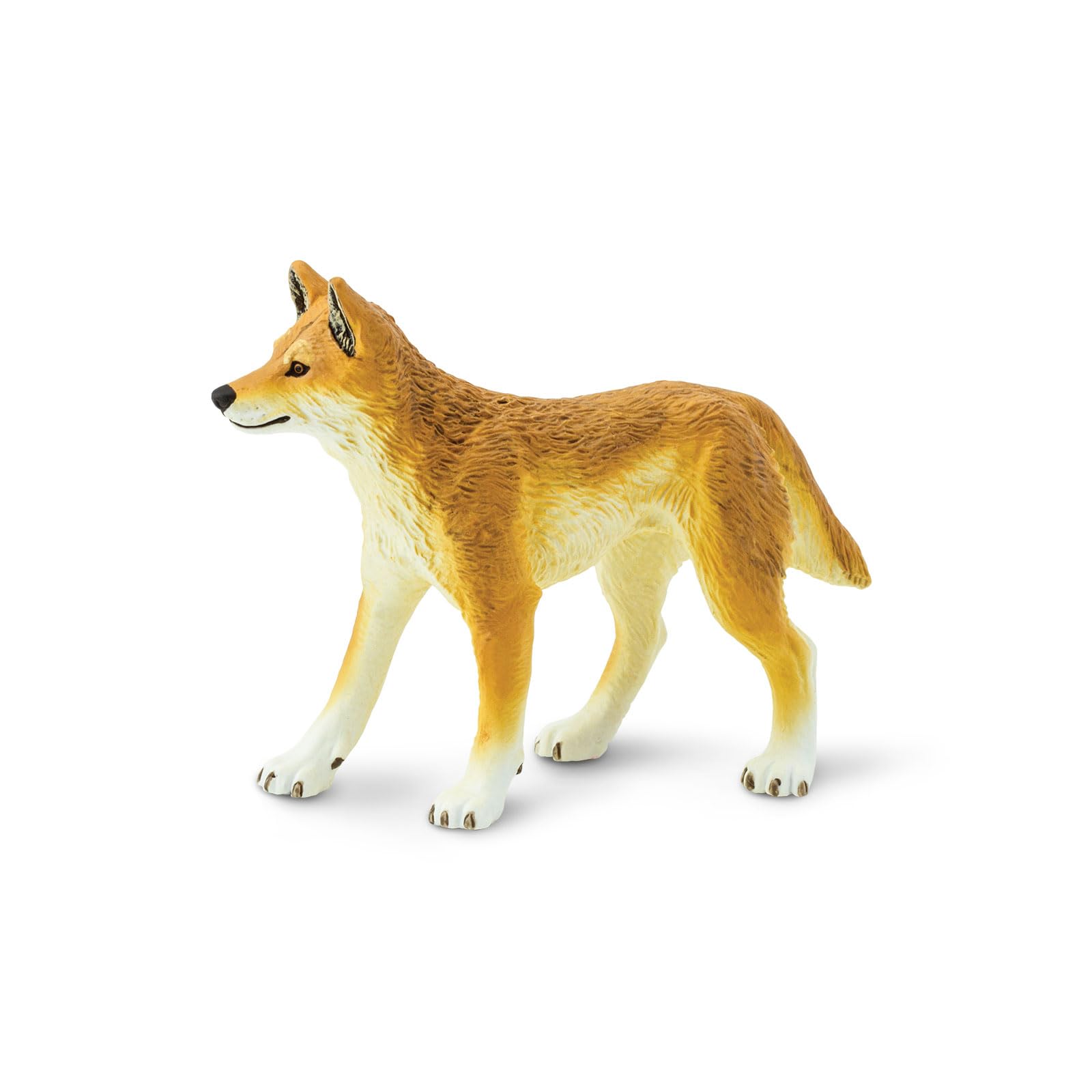 Safari Ltd. Dingo - Realistic Hand Painted Toy Figurine Model - Quality Construction from Phthalate, Lead and BPA Materials - For Ages 3 and Up