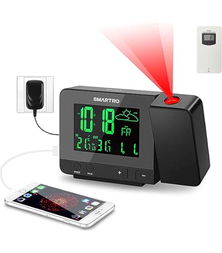 Amazon.com: La Crosse Technology 2.5 in. Silver Atomic Projection