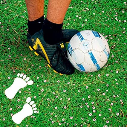 Qulista Samenhaus - Japan Grassamen begehbar Bodendecker Rasensamen