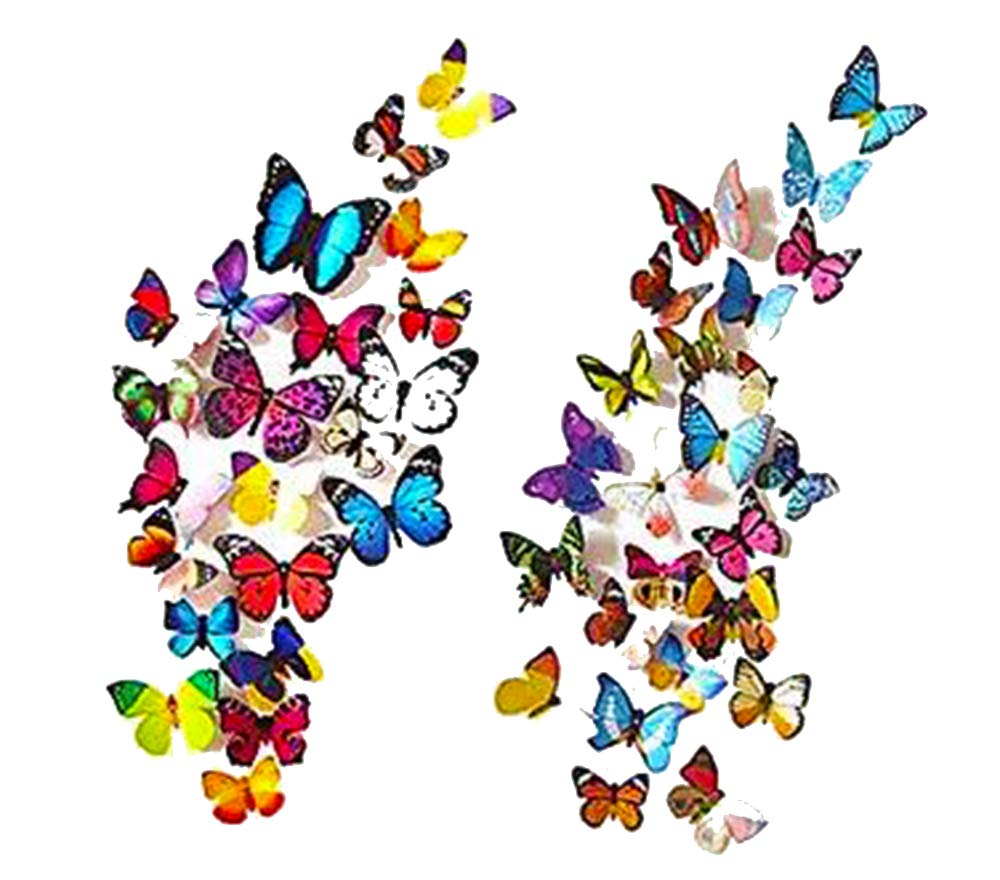 Buy Avanti Creation Multicolor Butterfly Stickers for Wall Decoration
