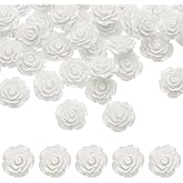 uxcell 50 Pcs White Resin Rose Flower Beads, 20mm Flatback Flower Charm Opaque Carve Rose Beads No Hole for DIY Jewelry Making Nails Sunglasses Hair Clip (Small Size)