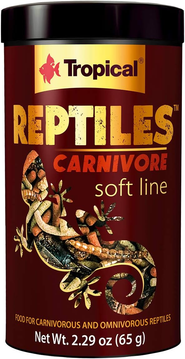 carnivorous reptile