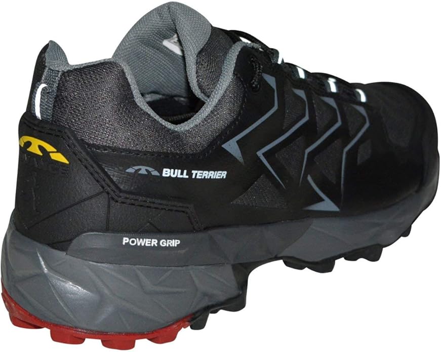 tenis bull terrier advance