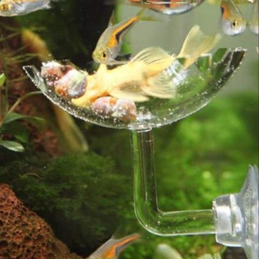 3PCS Shrimp Feeding Tube,Aquarium Glass Shrimp Feeding Tube Food Dish Pipe Holder Acrylic Fish Tank Shrimp Feeder Tube with Holder Clip Feeding Bowl Set Aquarium Accessory(35cm) - Image 5
