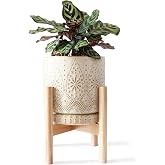 YFFSRJDJ 8 Inch Plant Pot with Stand, Ceramic Planter with Drainage Holes, Saucers and Mesh Pads for Indoor-Outdoor Plants