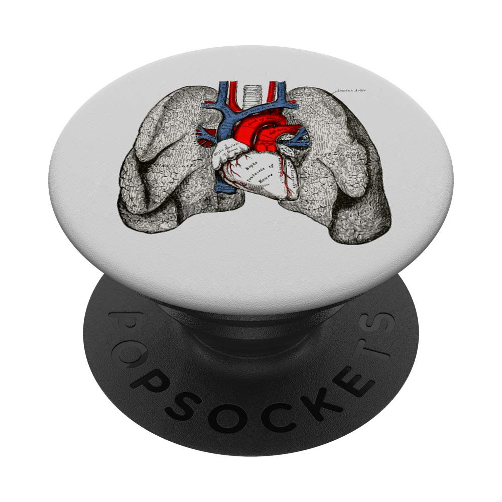 Human heart lungs Vintage medical anatomy Human lungs heart PopSockets PopGrip: Swappable Grip for Phones & Tablets