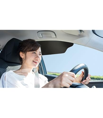 Extensor De Visera Solar Para Coche - Protege Del Sol Y Rayos UV, Ajuste Universal, Color Gris