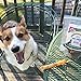 Green Butterfly Brands Assorted Dog Chews – All Natural, Chewy Dog Treats Made in USA – Pig Ear, Bully Stick, Pork Hide Twist Pieces & Turkey Gizzard Assortment Pack – One Ingredient Chews - Dogs Love