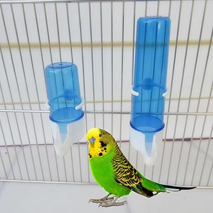 Amazon Com Wodwad Parrot Feeder Automatic Water Drink Container