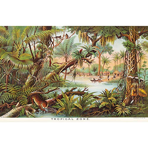 Artery8 Map Yaggy 1893 Tropical Zone Jungle Animals Art Print Canvas Premium Wall Decor Poster Mural
