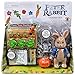 Peter Rabbit Garden Set With Peter Action Figure 3.5