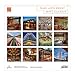 Frank Lloyd Wright 2019 Wall Calendar