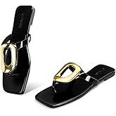 StillFancxy Gold Buckle Flat Sandals for Women Square Toe Dressy Flip Flops Trendy Thong Sandals Slide Sandals