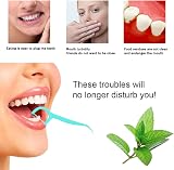 selcouth yyds Dental Floss Picks Mint 100Pcs 2in1 Toothpick Teeth Cleaning view 6
