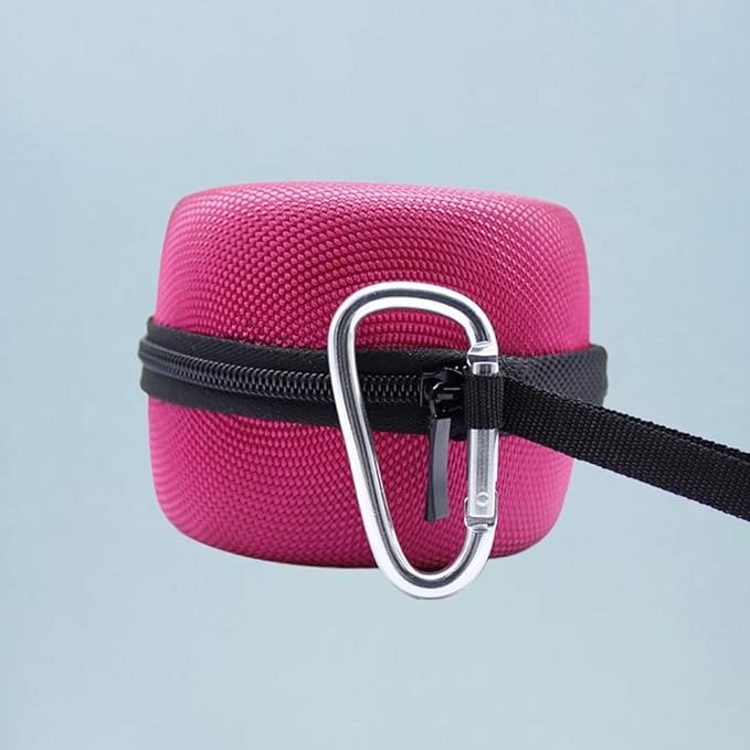 echo dot outdoor case