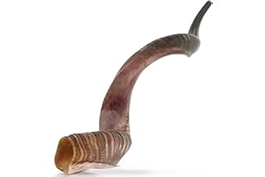 YOMTOV-SHALOM | Kudu Shofar | Shofar for Sale | Kosher from Israel | 15-19 inch
