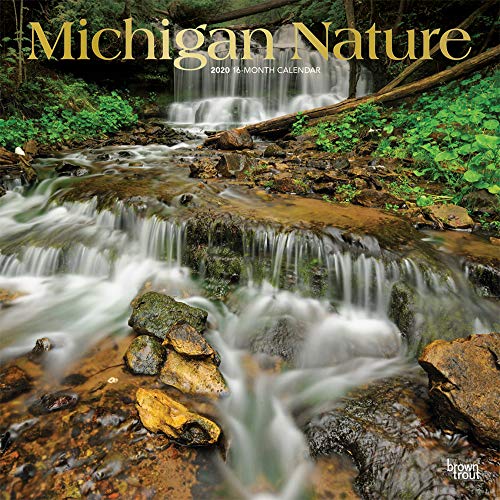 Michigan Nature 2020 12 x 12 Inch Monthly Square Wall Calendar, USA United States of America Midwest State Wilderness by BrownTrout Publishers Inc.