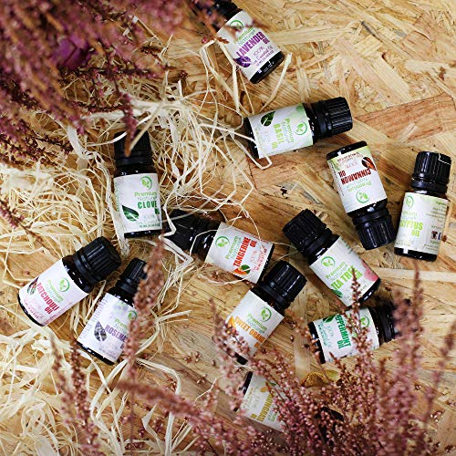 Organic Aromatherapy Essential Oil - 100% Pure Essential Oil for Hair, Skin and Diffuser Best Therapeutic Grade Essential Oil (10mL) (Cinnamon)