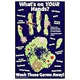 What's on Your Hands? Poster - hygiene poster - wash away bacteria and viruses –nursing poster for classrooms – clinics – after school programs - 11 x 17