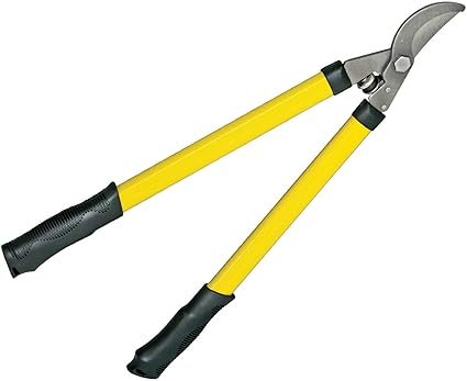 Amazon.com : Lotus Analin 27\