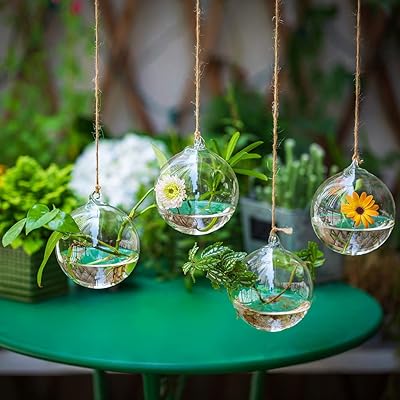 Buy Glass Large Hanging Planters Water Air Plant Succulent Containers Terrarium Candle Holder Indoor Outdoor 2 Holes 6pcs With Strings Rope For Home Garden Balcony Sphere Shape Online In Germany B08693fg6v