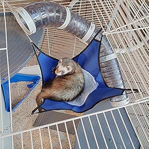 Ferplast Gabbia Grande per Furetti Furet Xl, Tre Livelli con Accessori Amaca e Tubi per Furetti, Rete in Metallo…