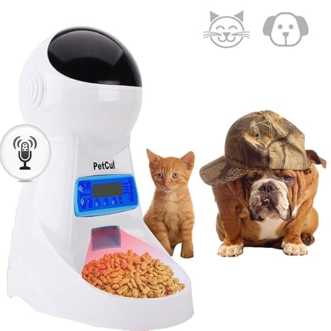 clockwork cat feeder