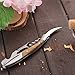Waiters Corkscrew -WBSEos Best Stainless Steel Wine Opener Rosewood Handle Bottle Opener and Foil Cutter For Sommeliers, Waiters and Bartenders Around the World