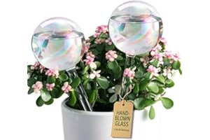 Soilagua Extra-Thick Clear Glass Plant Watering Globes, Rainbow Gradient Self Watering Globes, Automatic Plant Waterer, Self Watering Planter Insert Spikes Devices for Everyday or Vacation Use, 2-Pack