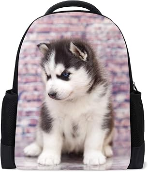 puppy backpacks for school
