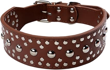 Amazon Com Perros Reino 26 Hongos Rivet Studded Piel Collar Collar Pitbull Boxer Pastor Aleman Perro Adjustble M Cafe Oscuro Kitchen Dining
