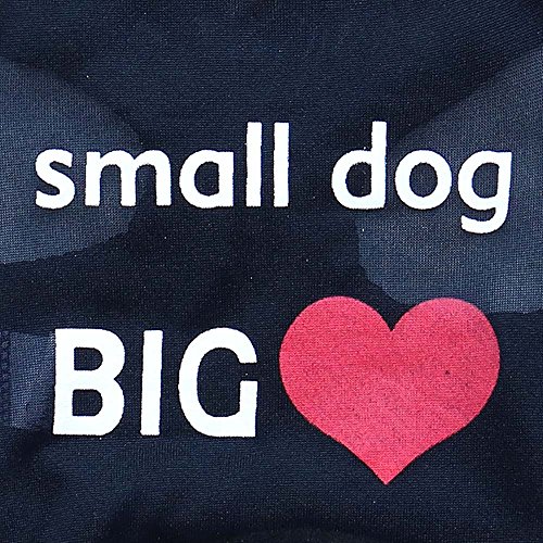 2 Clothes+Sweater+Sweatshirt+Printed+Costumes