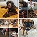 Pawstruck 9