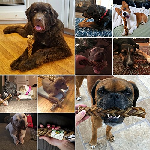 Monster Braided Bully Stick for Dogs (8 Pieces Per Stick!) Natural Low