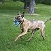 KONG, Squeakair Ultra Balls , Dog Toy Premium Squeak Tennis Balls, Gentle on Teeth, for Large Dogs (2 Pack)