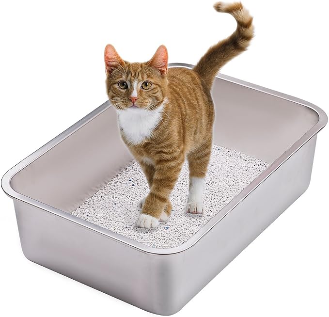 Lettiera Per Gatti In Acciaio Inossidabile Extra Large - 56x36x30 Cm, Bordi Alti 15 Cm, Set Completo Con Paletta E Scala