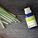 Lemongrass Organic Essential Oil from Ancient Apothecary, 15 mL - 100% Pure and Therapeutic Grade