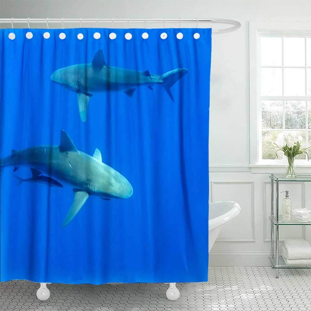 Douecish 72X78 Shower Curtain, Shower Curtain Sharks Hawaii Oahu Cool Shower Curtain with Hooks Waterproof Eco-Friendly Long Shower Curtain for Bathroom