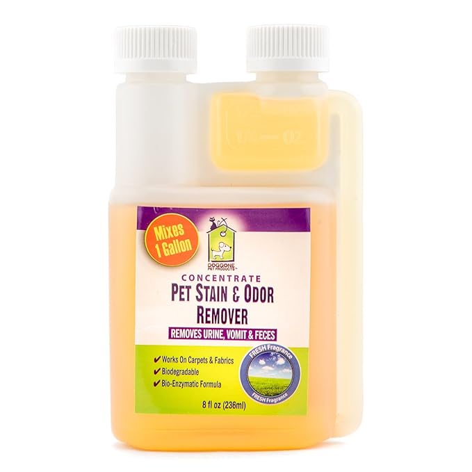 enzymatic cleaning solution for dog urine