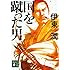 国を蹴った男 (講談社文庫)