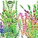 OrgMemory Fish Tank Decorations, Aquarium Décor Plastic Plants, (19pcs, 7.5″-14.5″), Plastic Aquariums Plantsthumb 4